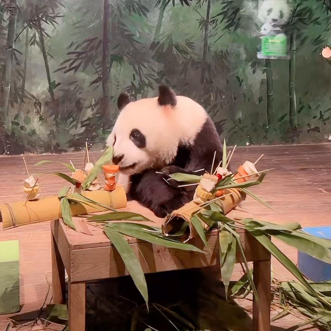 6.6夜播录屏(一)小国庆不太会撸串哦🤭视频来源直播间