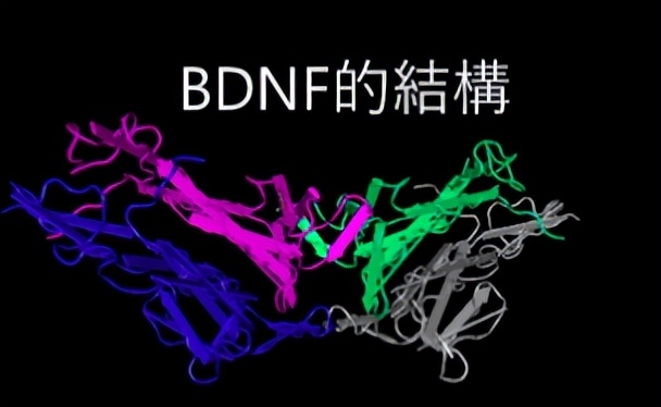 运动出汗跟基础代谢有关系吗,运动大量出汗是运动天赋