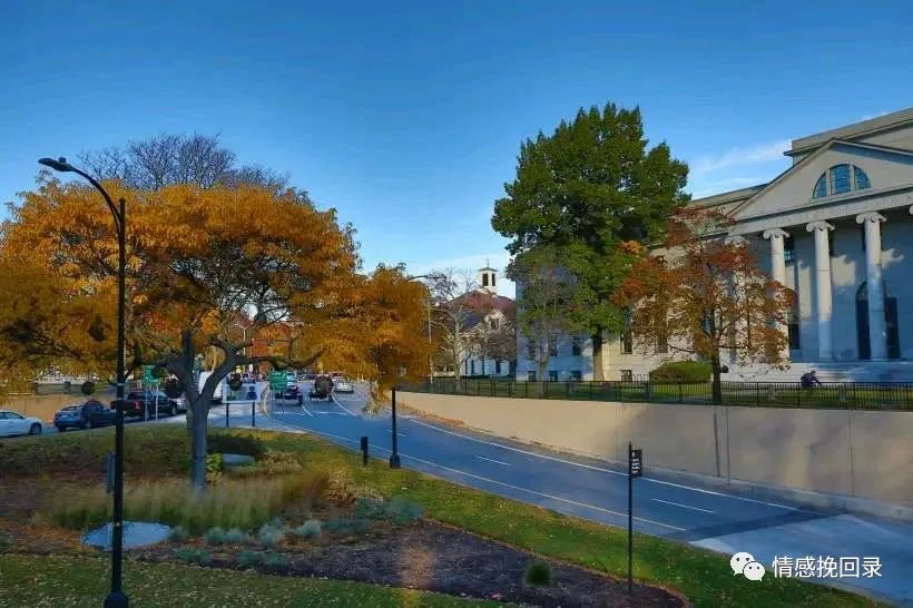 喜欢上一个讨厌的人是什么心理,喜欢上一个讨厌自己的女生怎么办