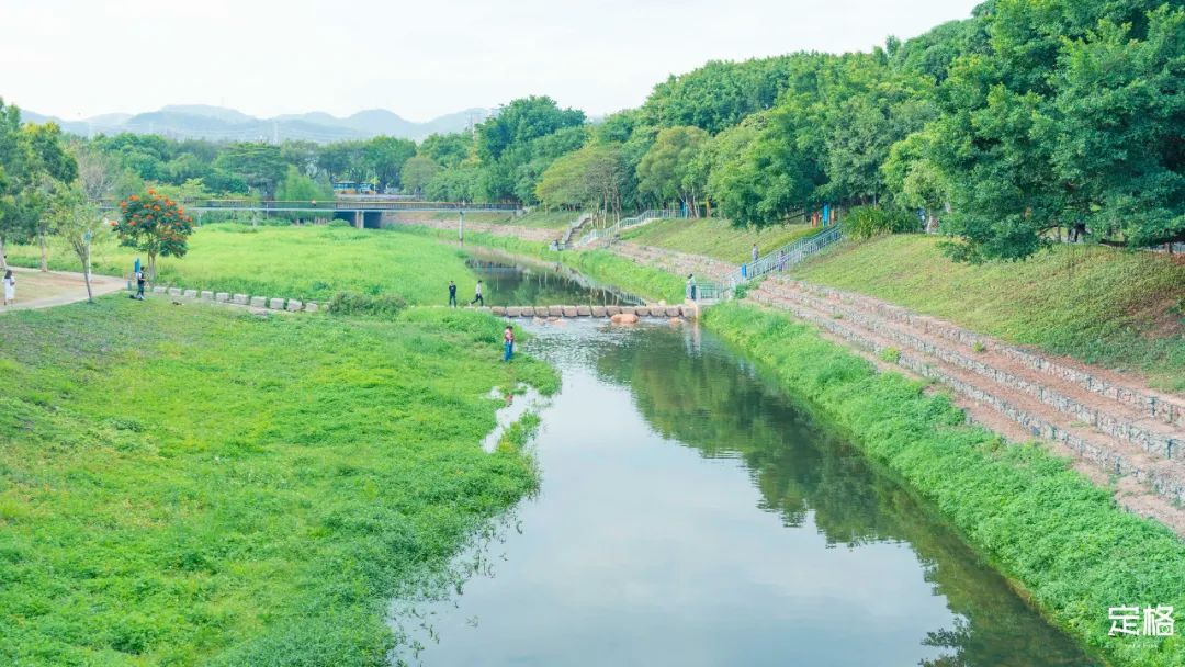 深圳10公里跑步路线,深圳跑步路线推荐塑胶跑道