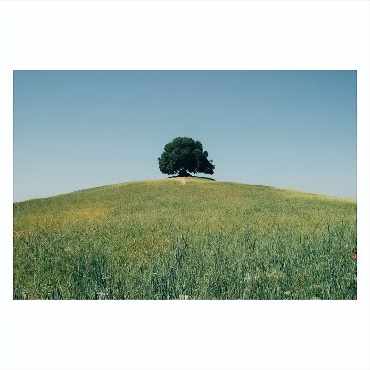 情人节送什么礼物给女朋友有意义,情人节应该给女朋友送什么礼物