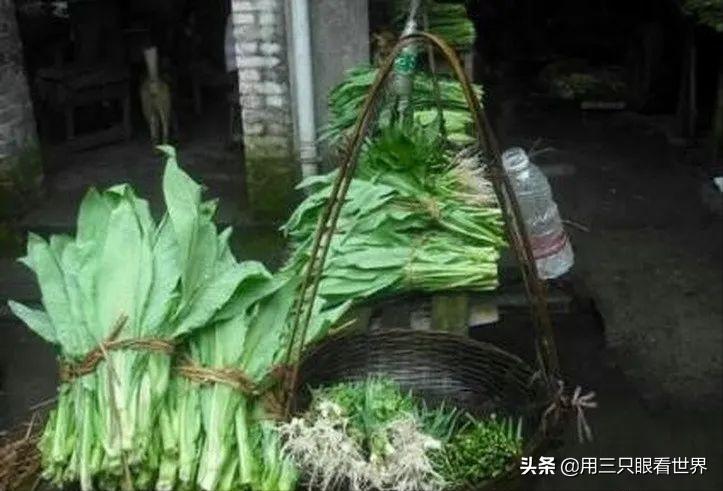 知青岁月难忘的时光,知青岁月毕生难忘