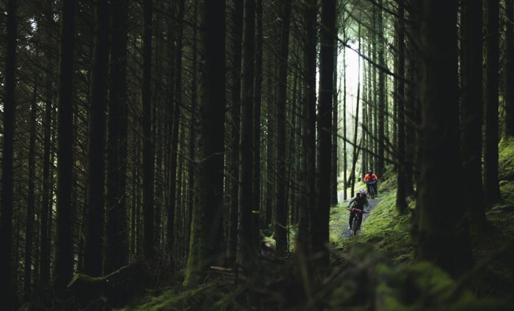 强大功能性Canyon推出全新Neuron软尾山地车