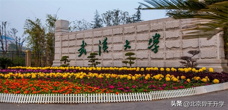 清华大学工学最好专业,清华大学最好的专业世界排名最前