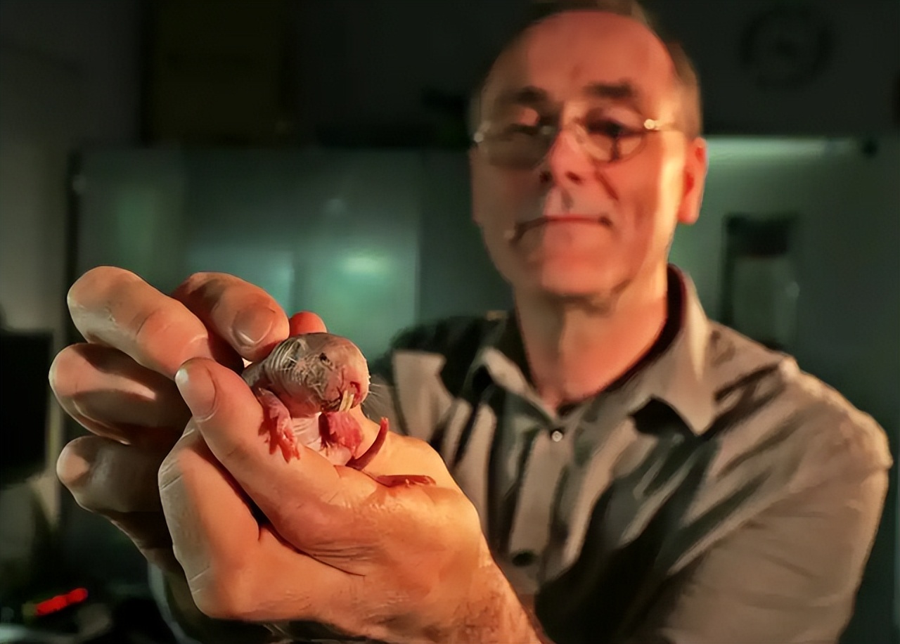 唯一没有癌细胞动物,唯一不会癌变的动物