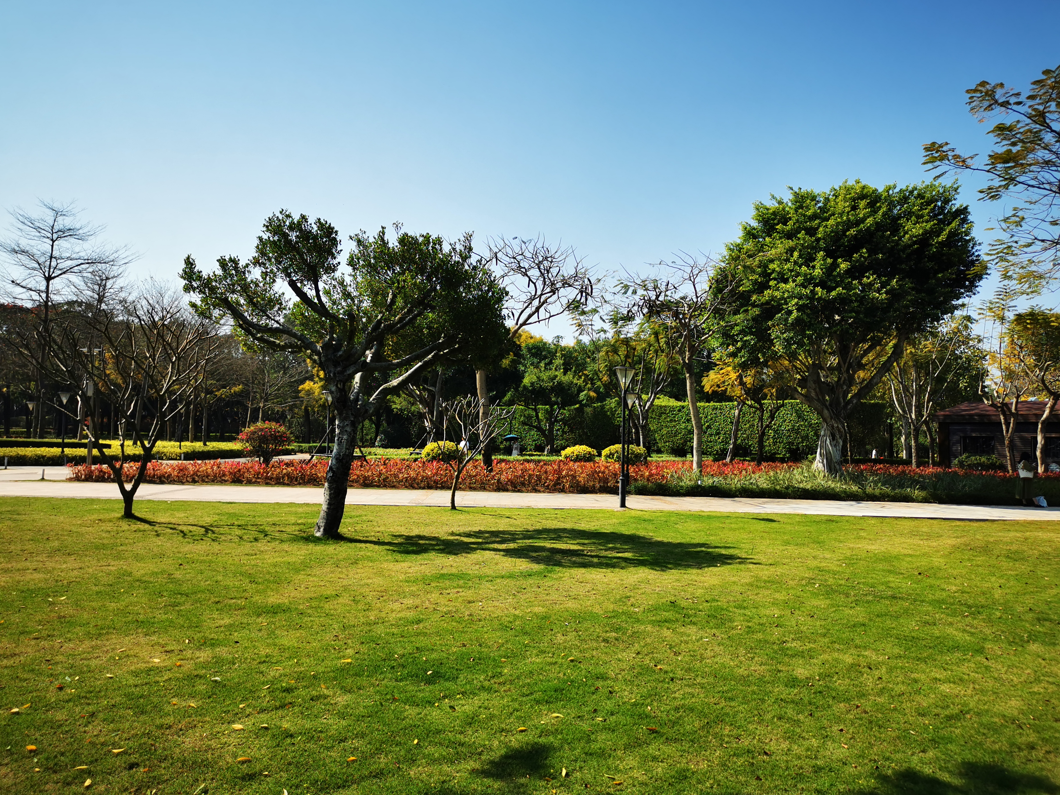 北海环岛游旅游攻略,澳门环岛游旅游攻略