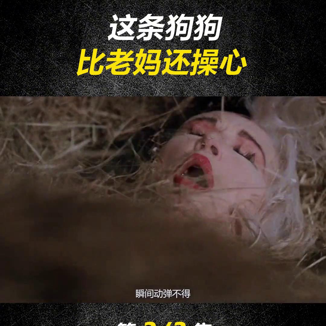 一只斑点狗可以长到多大,斑点狗有多可怜