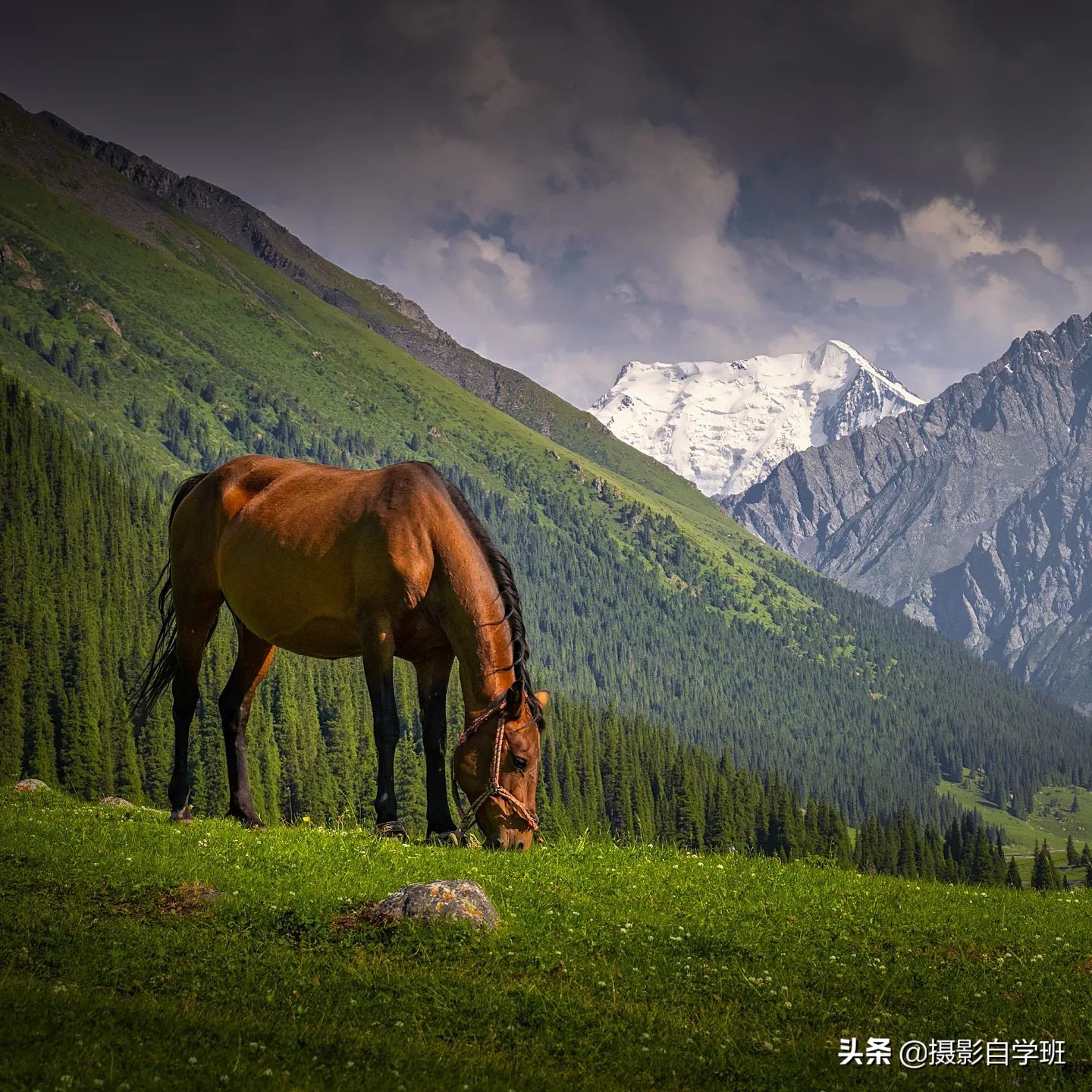 专业摄影师教你5个风光摄影技巧,摄影师拍风景教程