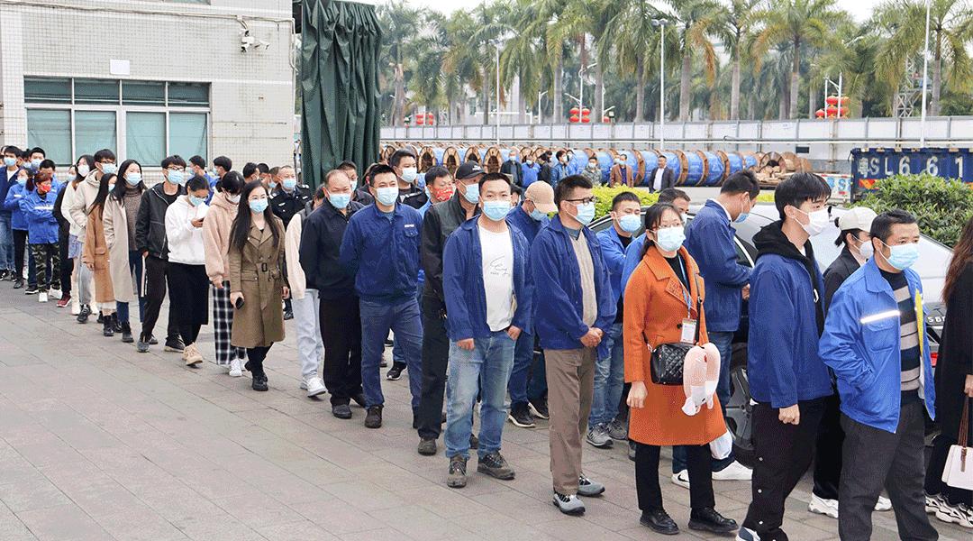 虎虎生威开门红续写新篇定乾坤,虎虎生威启新程