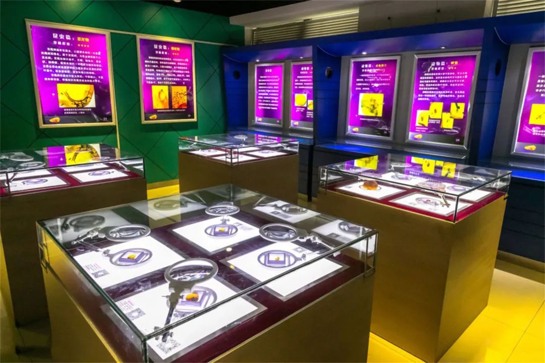 上海13号地铁沿线玩的好地方,上海地铁游玩攻略