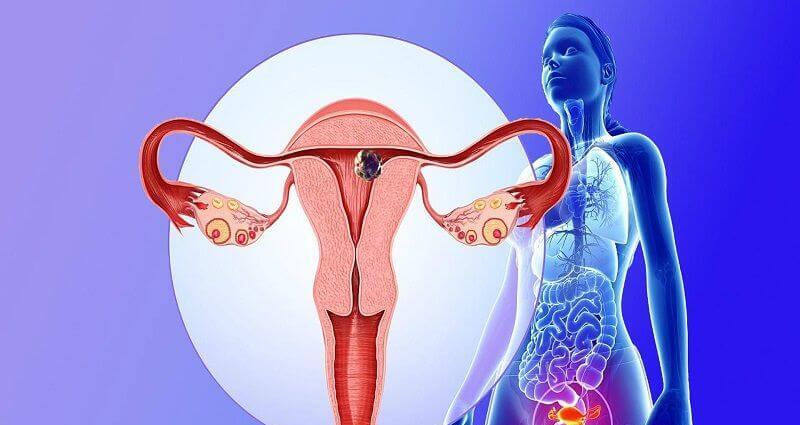 满月之夜，奇迹发生！赵正芹双子宫怀孕引发全球热议