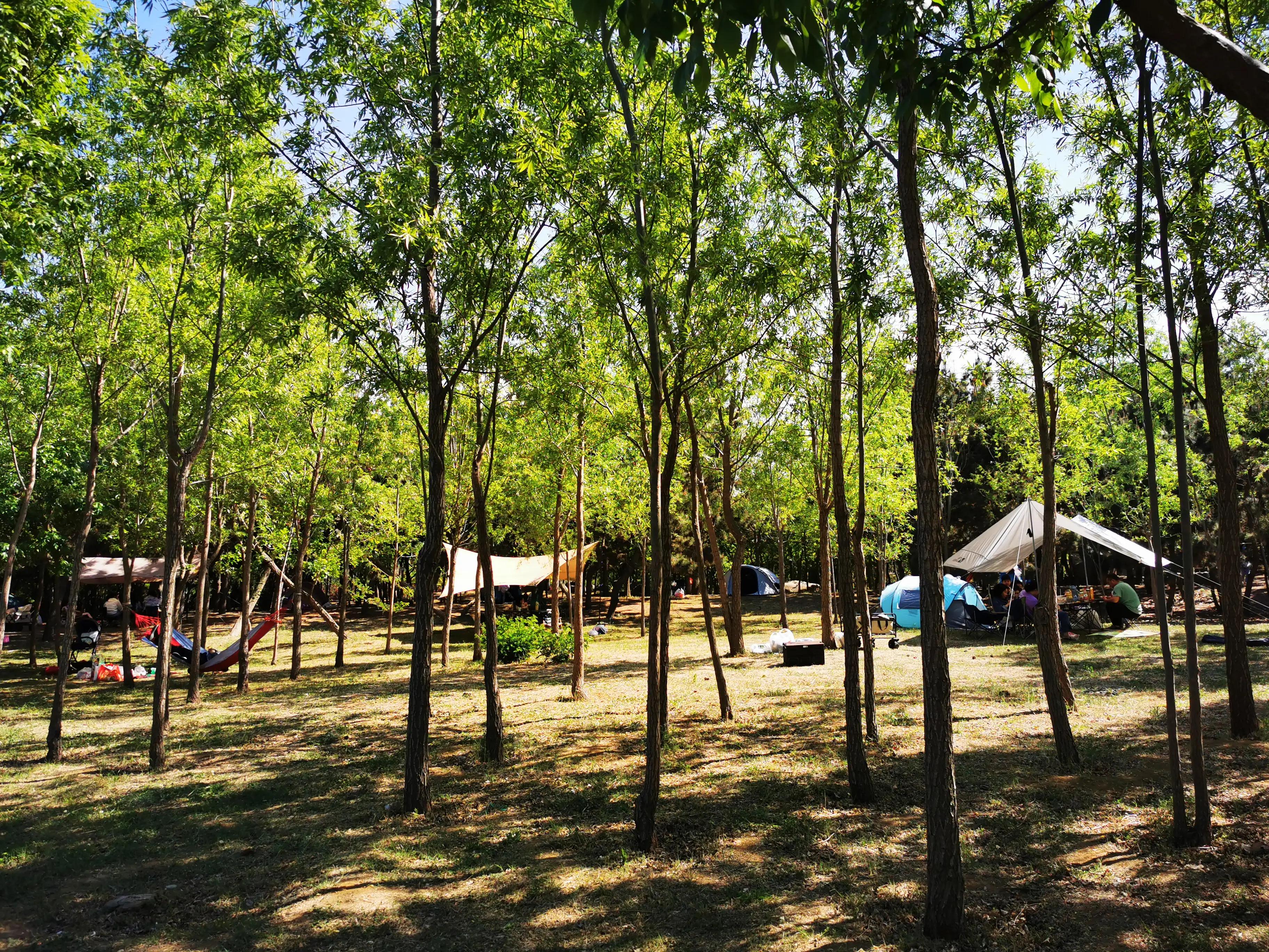 蜗牛徒步999,蜗牛徒步视频