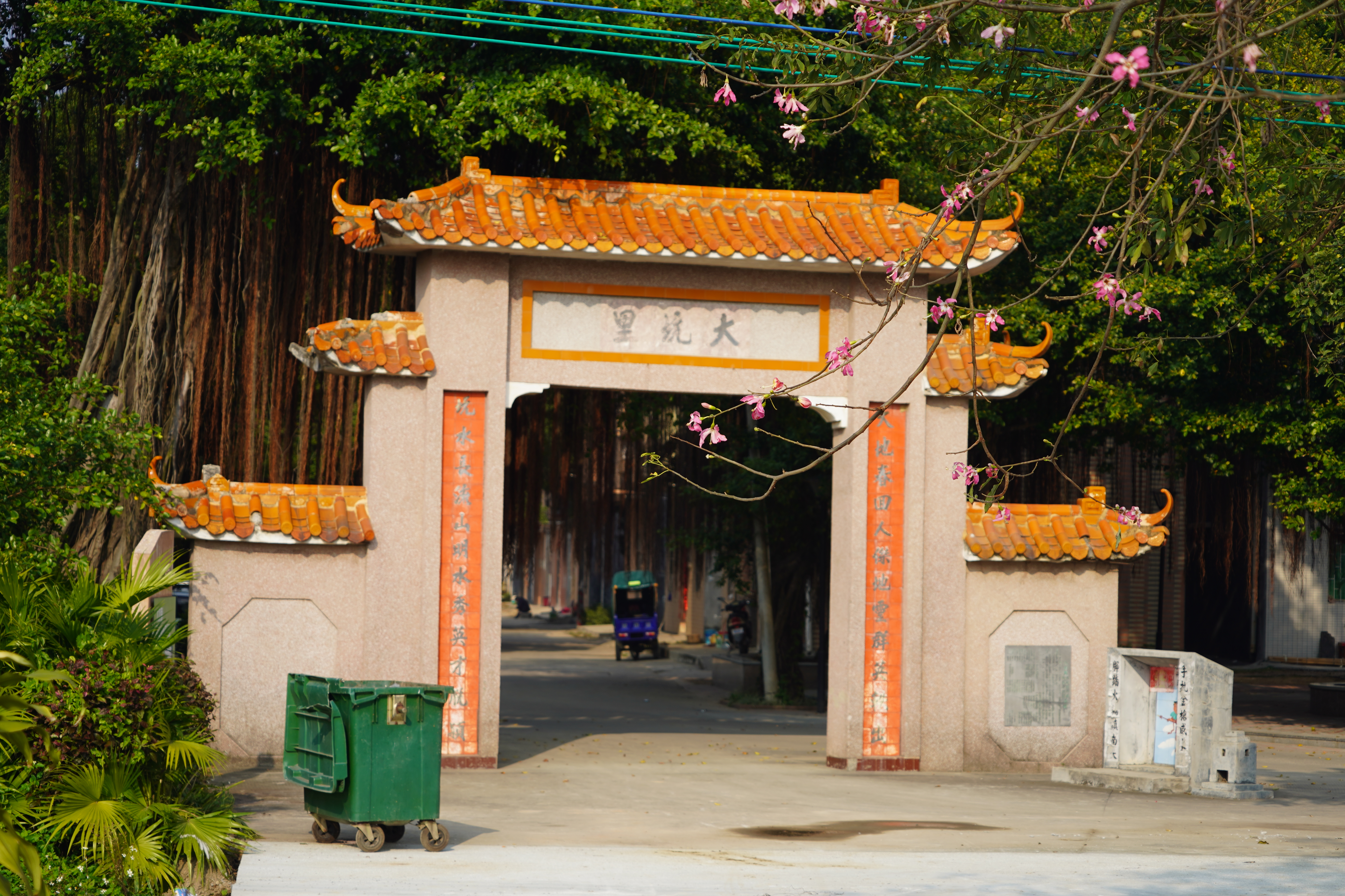 江门新会旅游景点小鸟的天堂,新会小鸟天堂历史记录