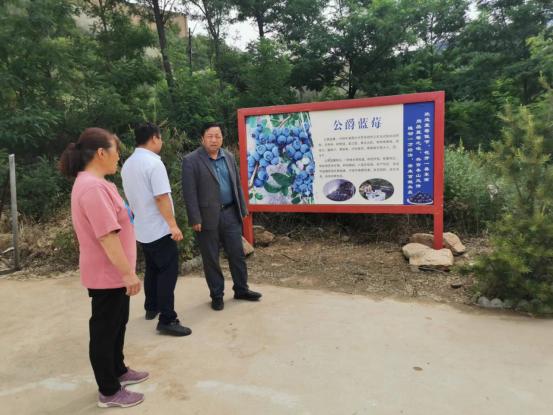 乡村电信建设,电信数字乡村建设思路方案