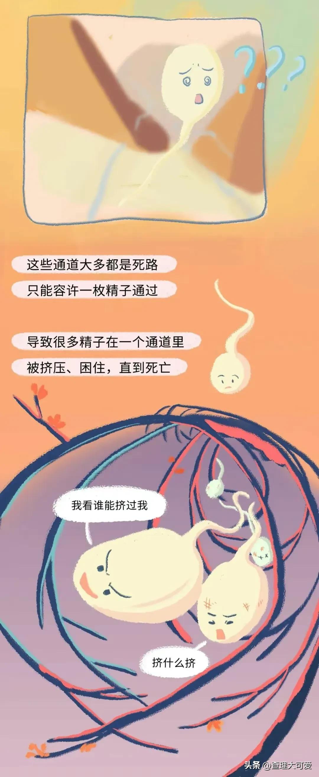 小蝌蚪找妈妈故事完整漫画,小蝌蚪漫画