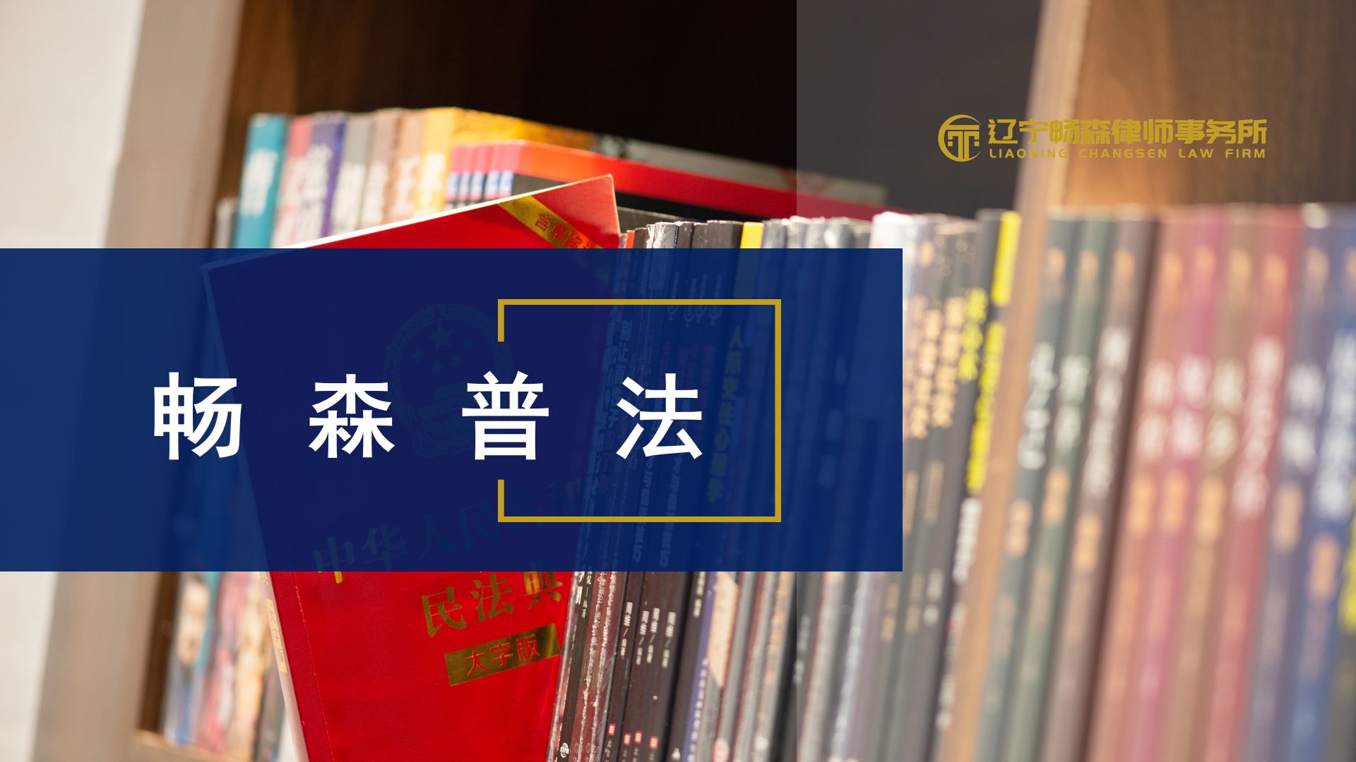 葫芦岛合同经济纠纷律师,葫芦岛买卖合同律师咨询