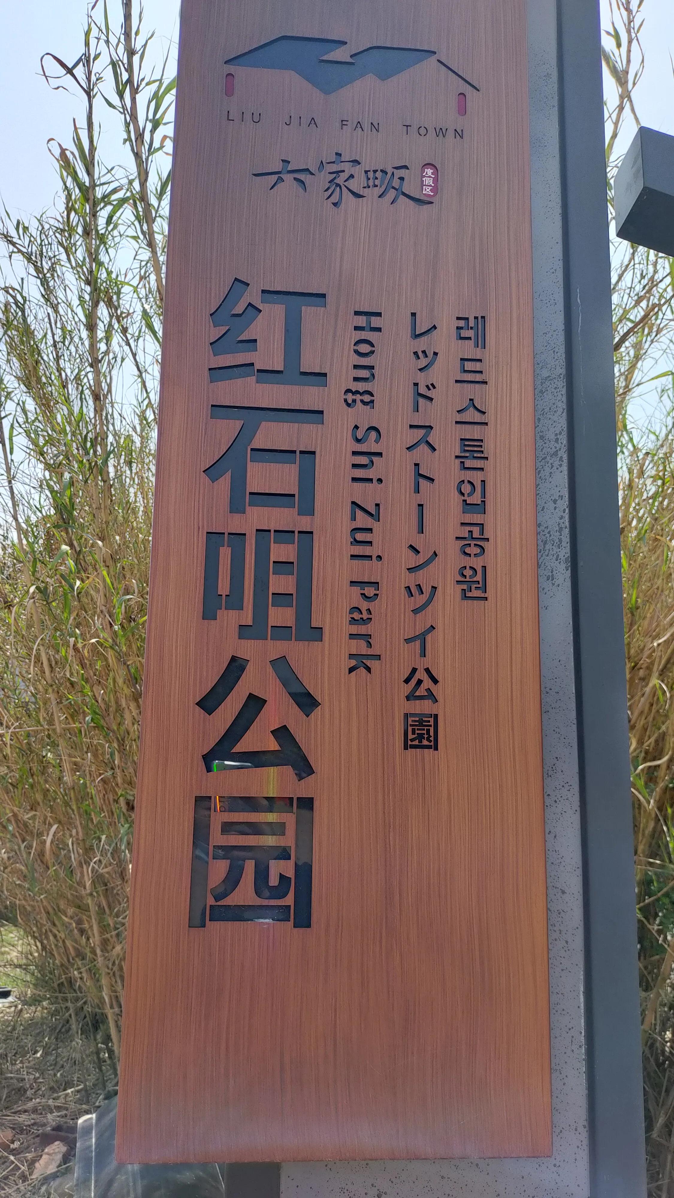 合肥开通五条公交旅游线路,合肥环巢湖旅游大巴在哪里坐