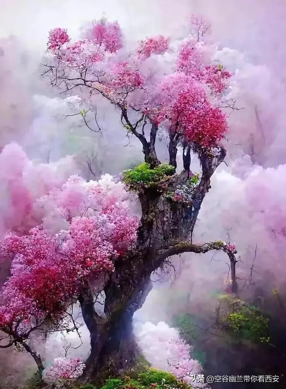 宅在家里挣钱的副业,宅在家也可以找个副业