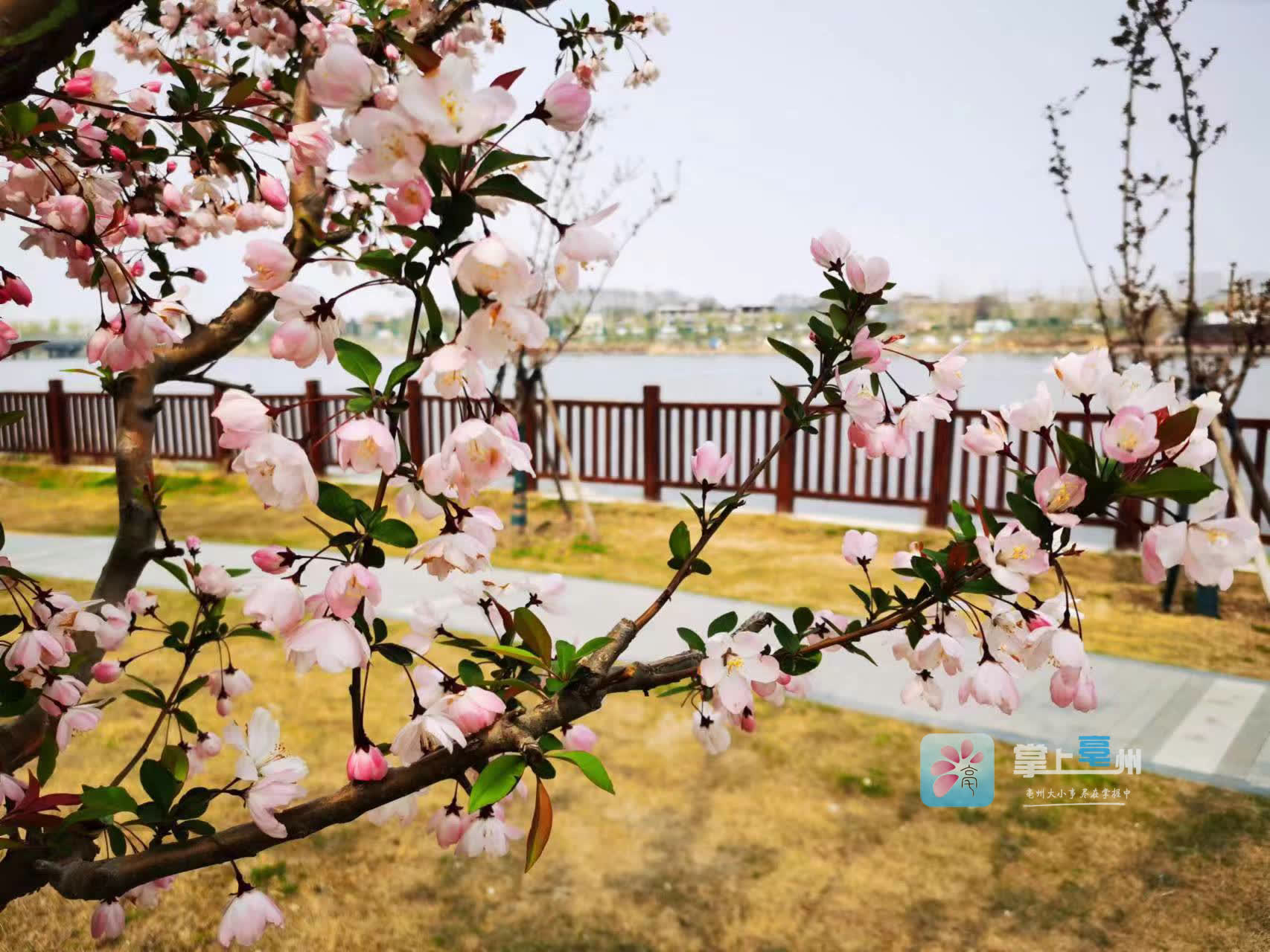 春季脸过敏妙招,春季过敏最快的方法