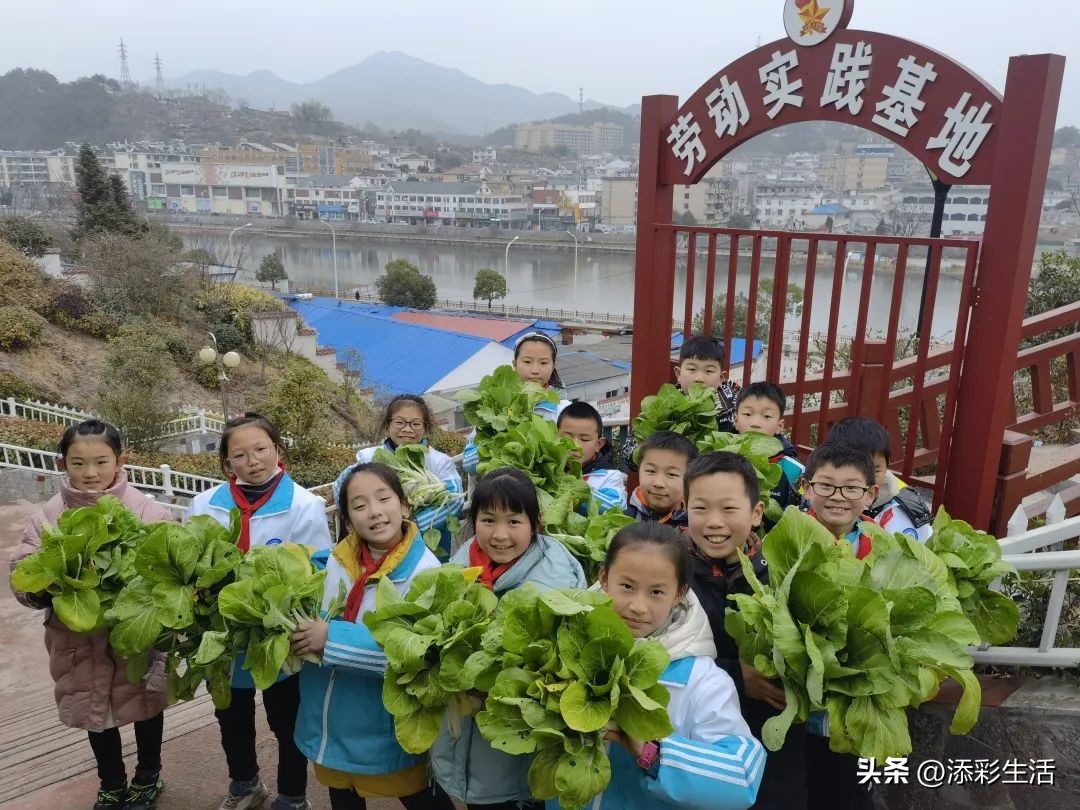 安庆双减政策,安徽双减政策最新高中