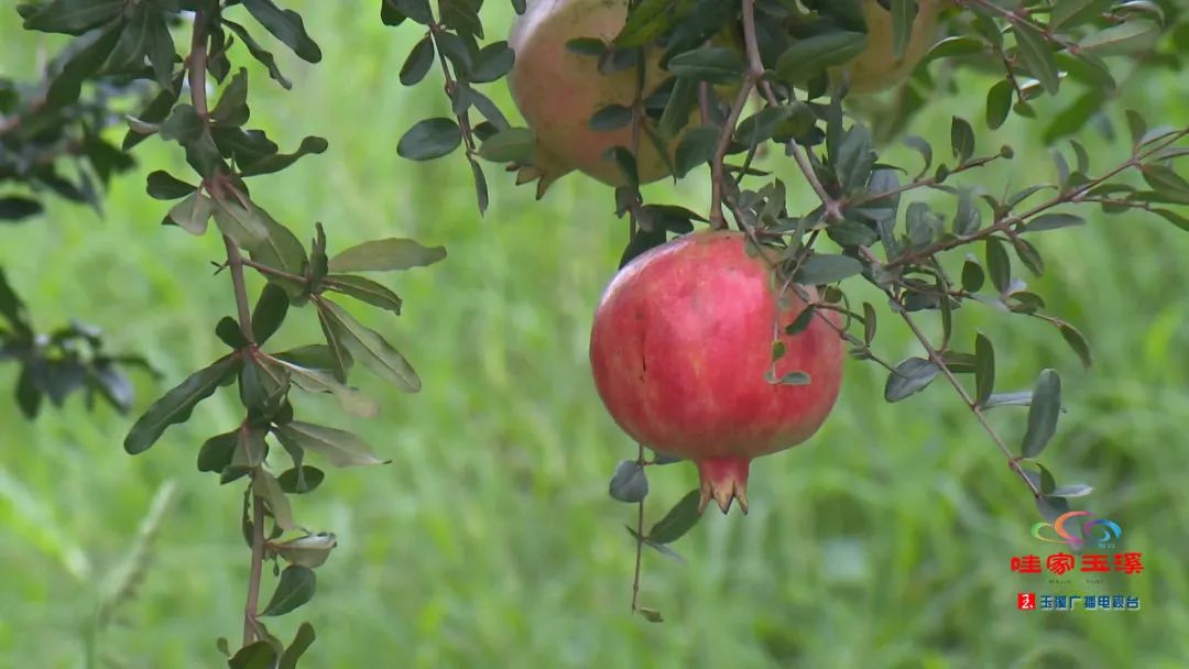 一线调研看发展,一线走访调研