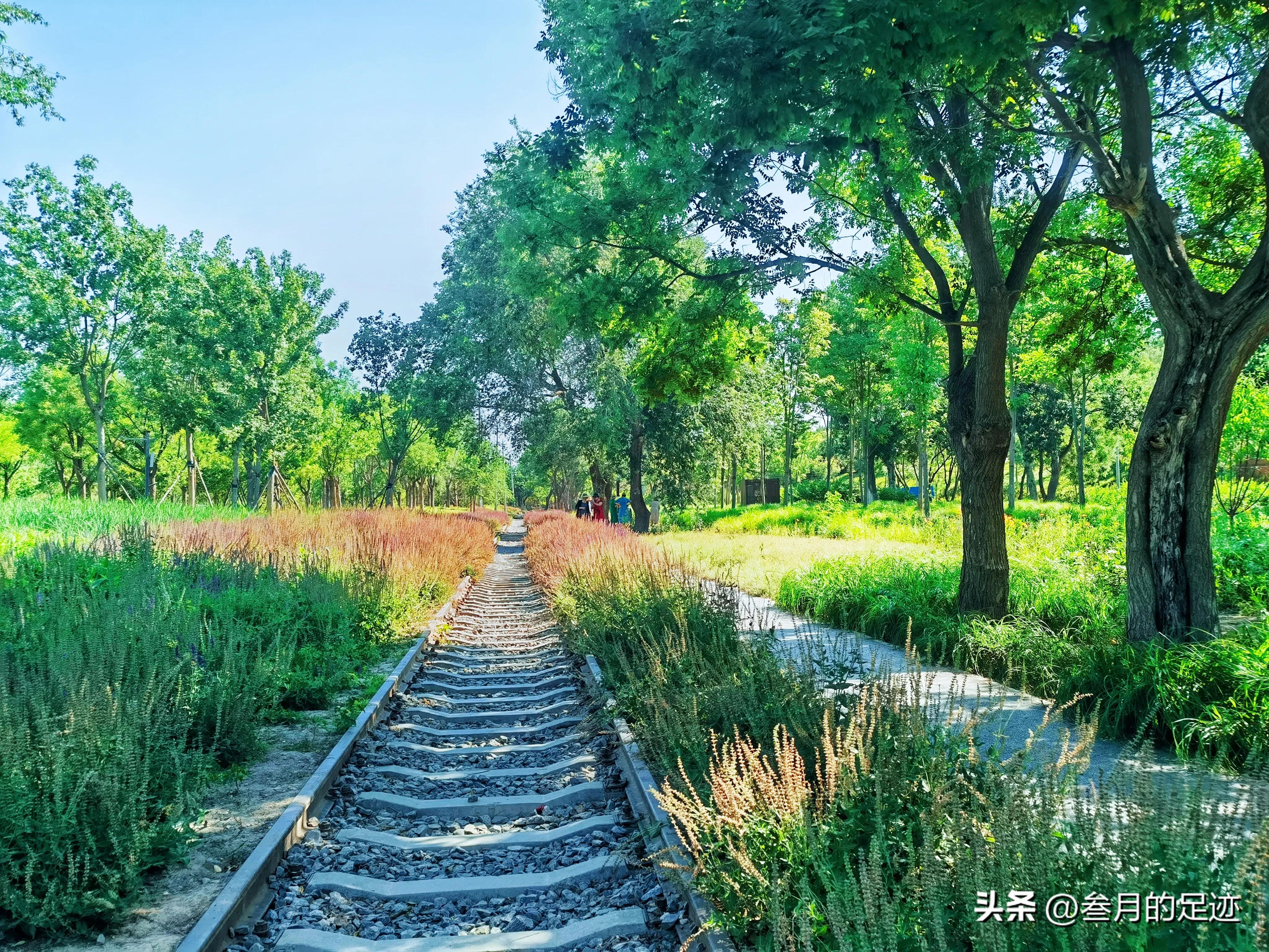 北京有铁道的公园,北京有哪些免费网红公园