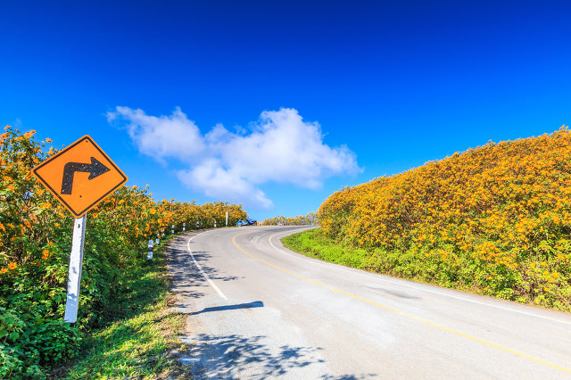 属猴的人适合和什么属相谈恋爱,生肖猴一生最亲的人是谁