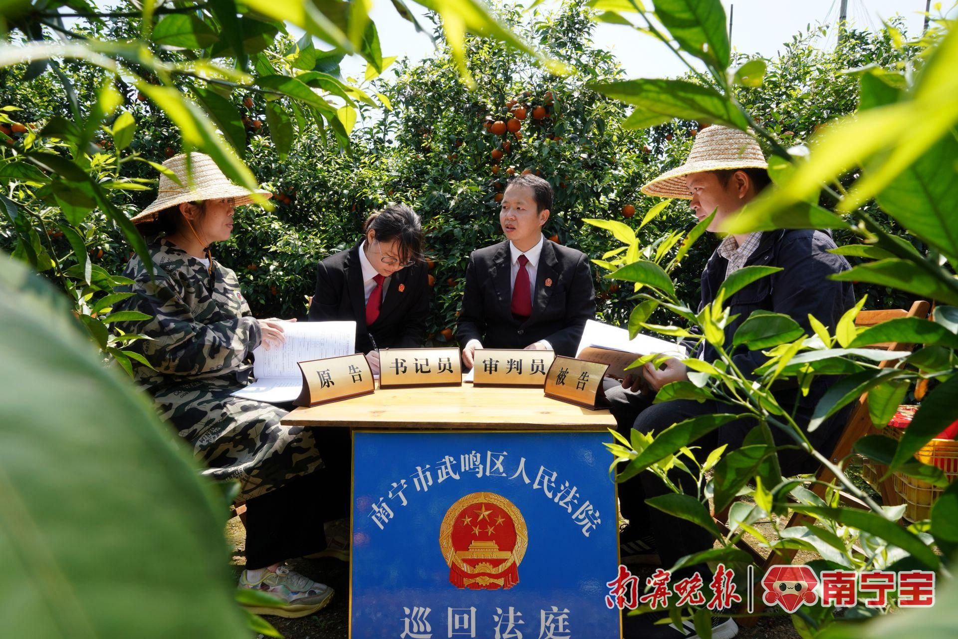 五治融合提升村民自治获得感,南宁市增进民生福祉