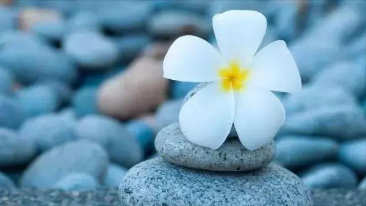 遇到小人是大度还是反击,怎样对待小人的算计