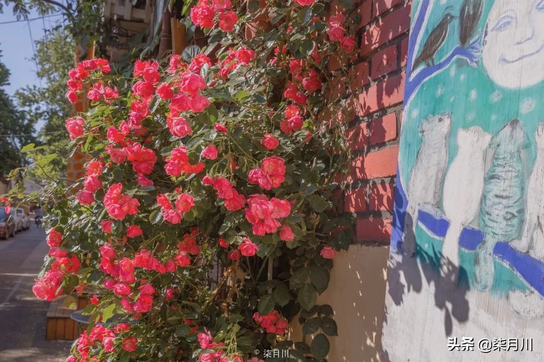 青岛旅行攻略比心,冬季旅游青岛攻略汇总