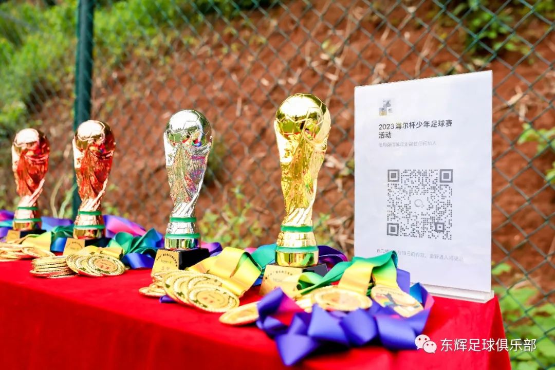 海尔足球比赛,海尔杯足球比赛