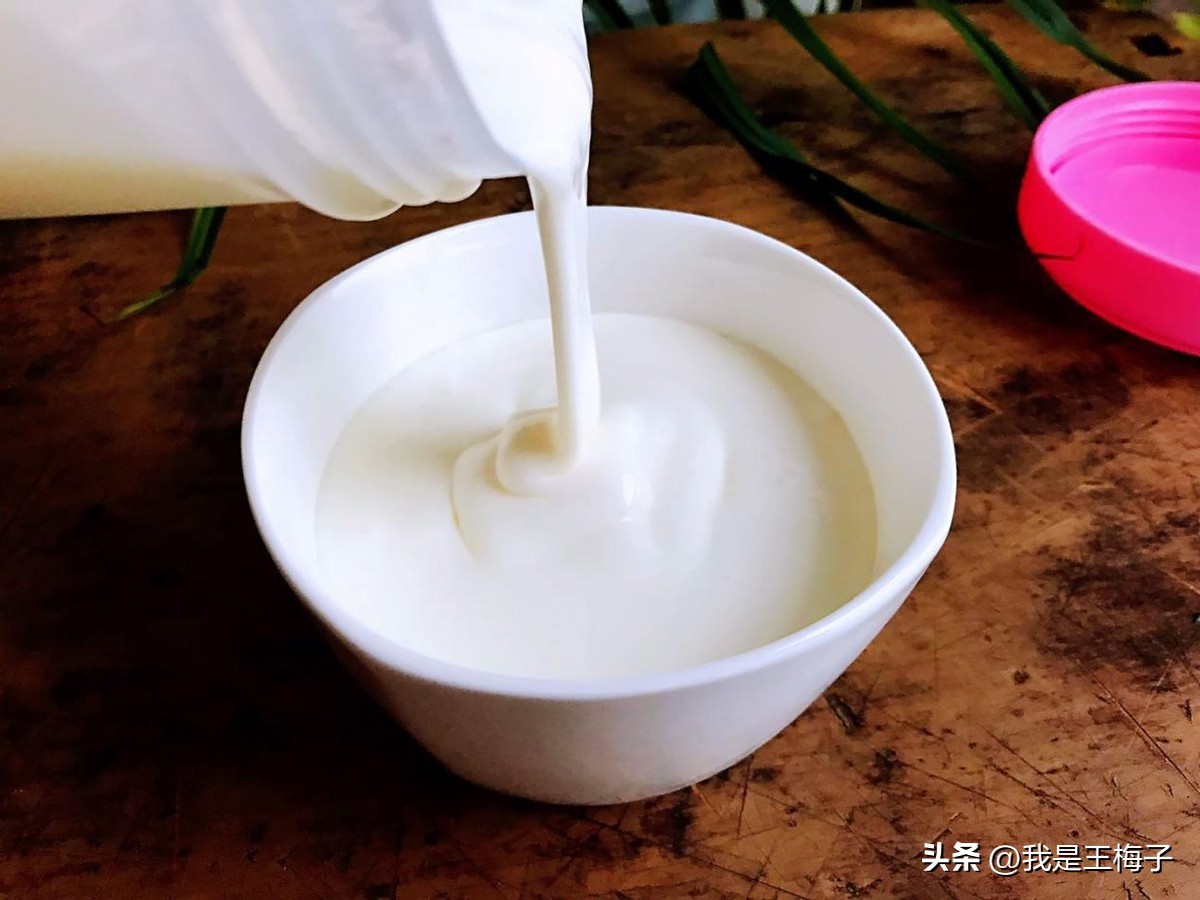 用酸奶做引子自制酸奶的家常做法,自制酸奶纯奶和酸奶的比例