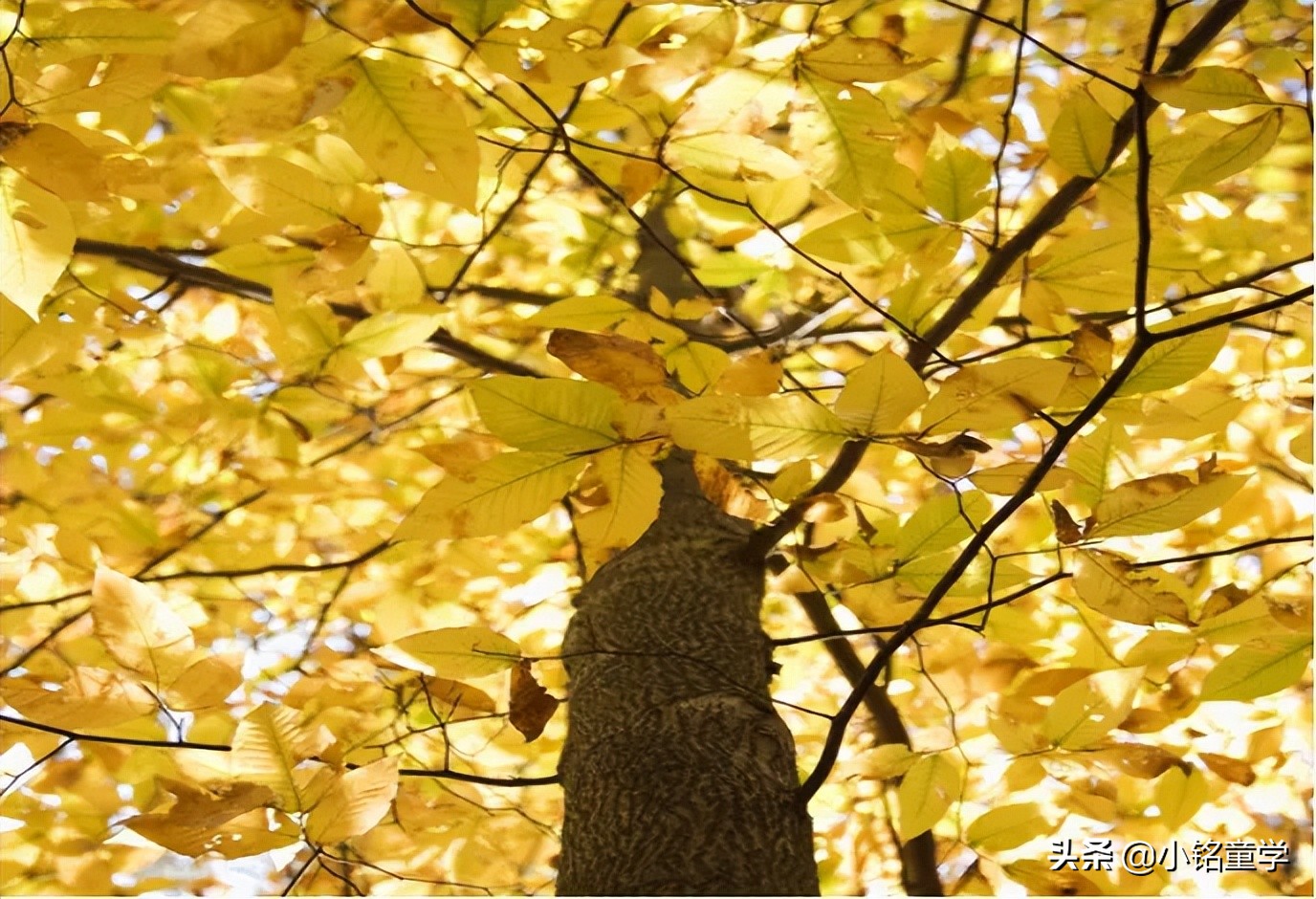怎样买到适合自己高级感的衣服,如何才能买到好看又上档次的衣服
