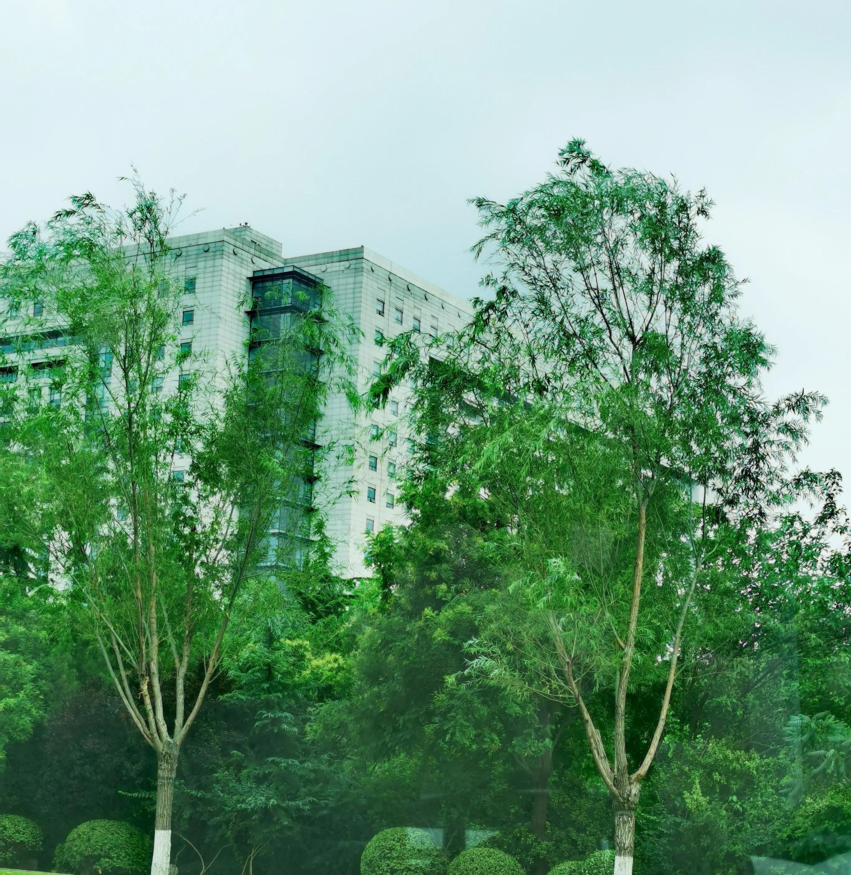 济南二环的楼,济南1700亿的楼