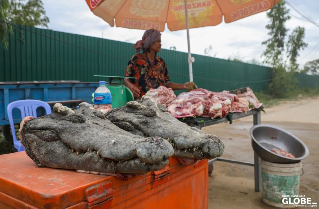 柬埔寨卖肉,柬埔寨路边摊
