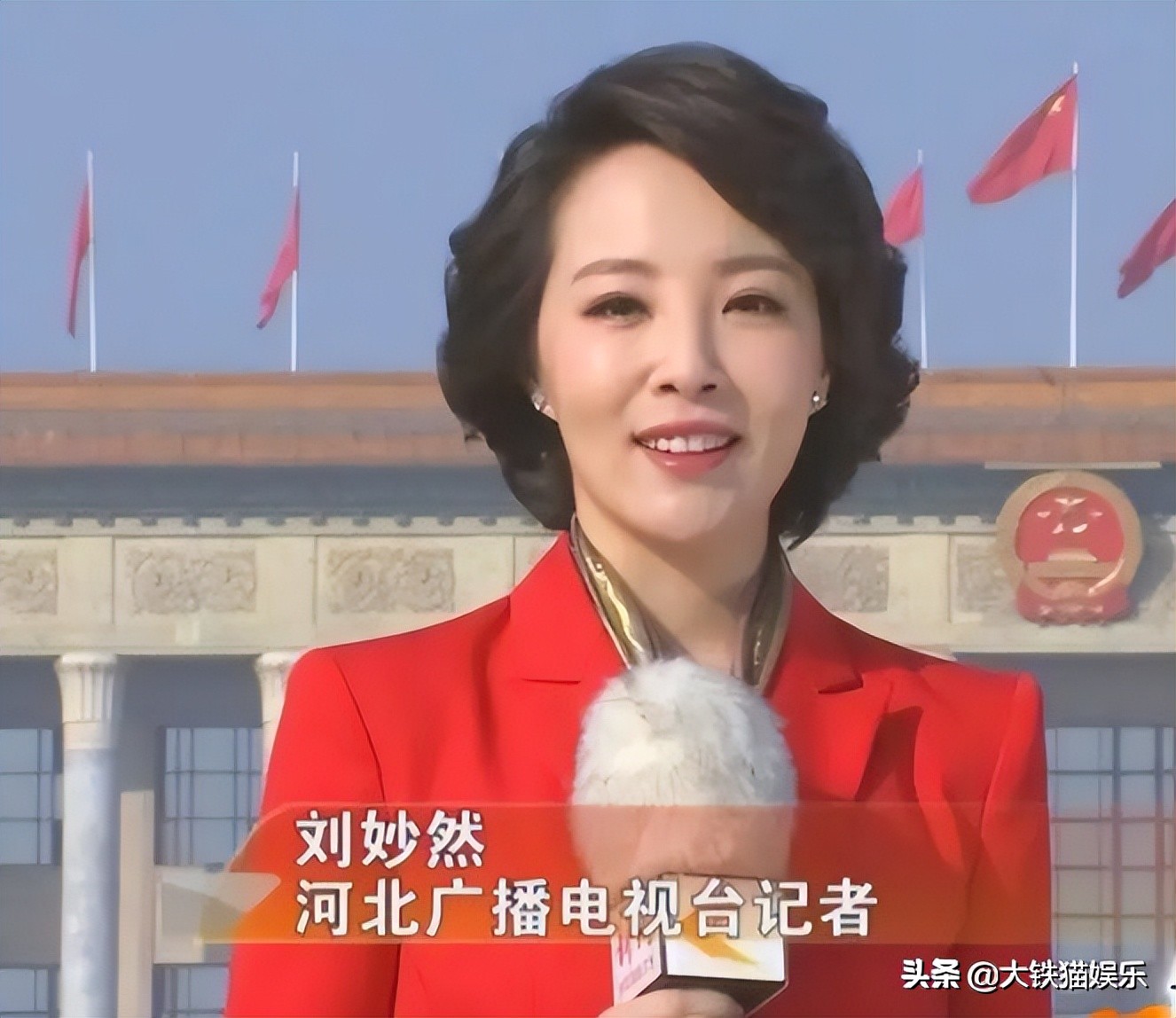 河北籍央视主持人,河北盛产主持人15位央视名嘴