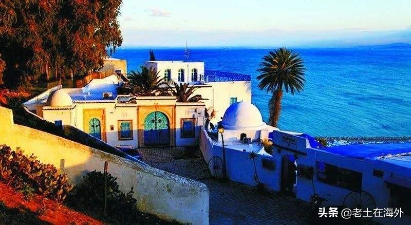 汤加面临的是火山喷发还是海啸,汤加火山爆发汤加还好吗