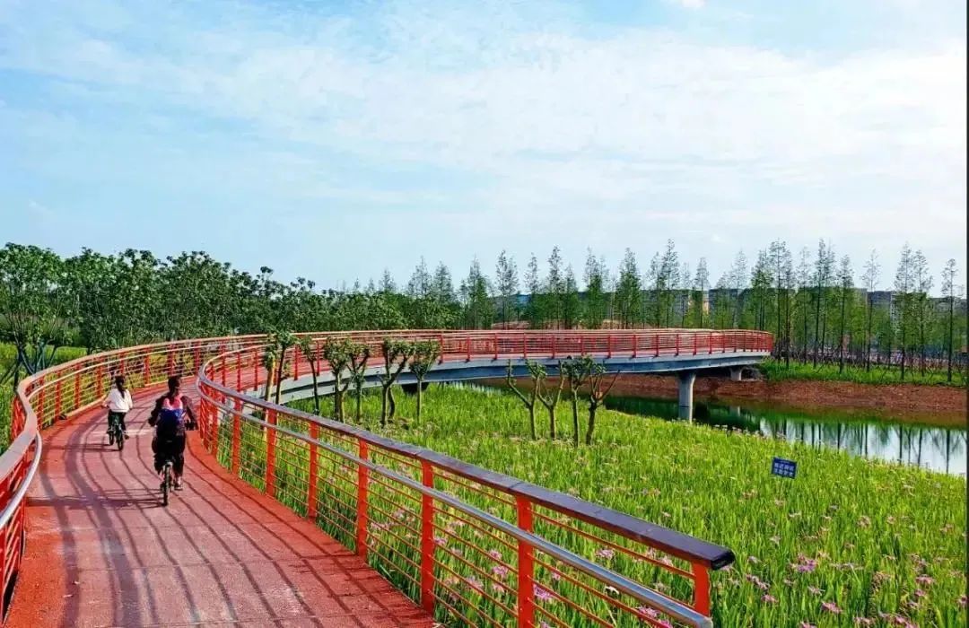 钱兔似锦大展鸿兔礼品盒,钱兔似锦大展宏兔的意思