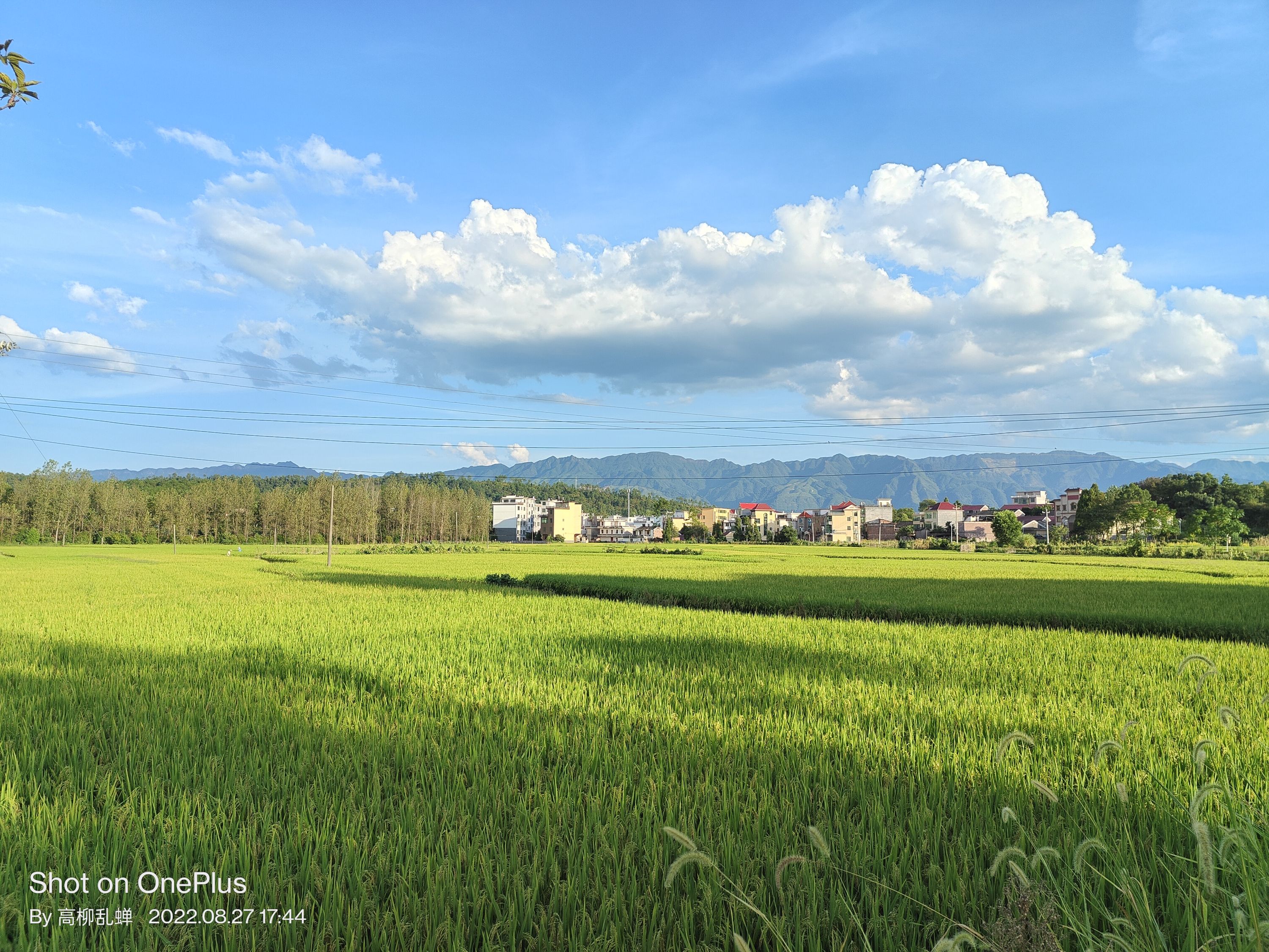 好价正此时，我用过和种草的OPPO系好物分享
