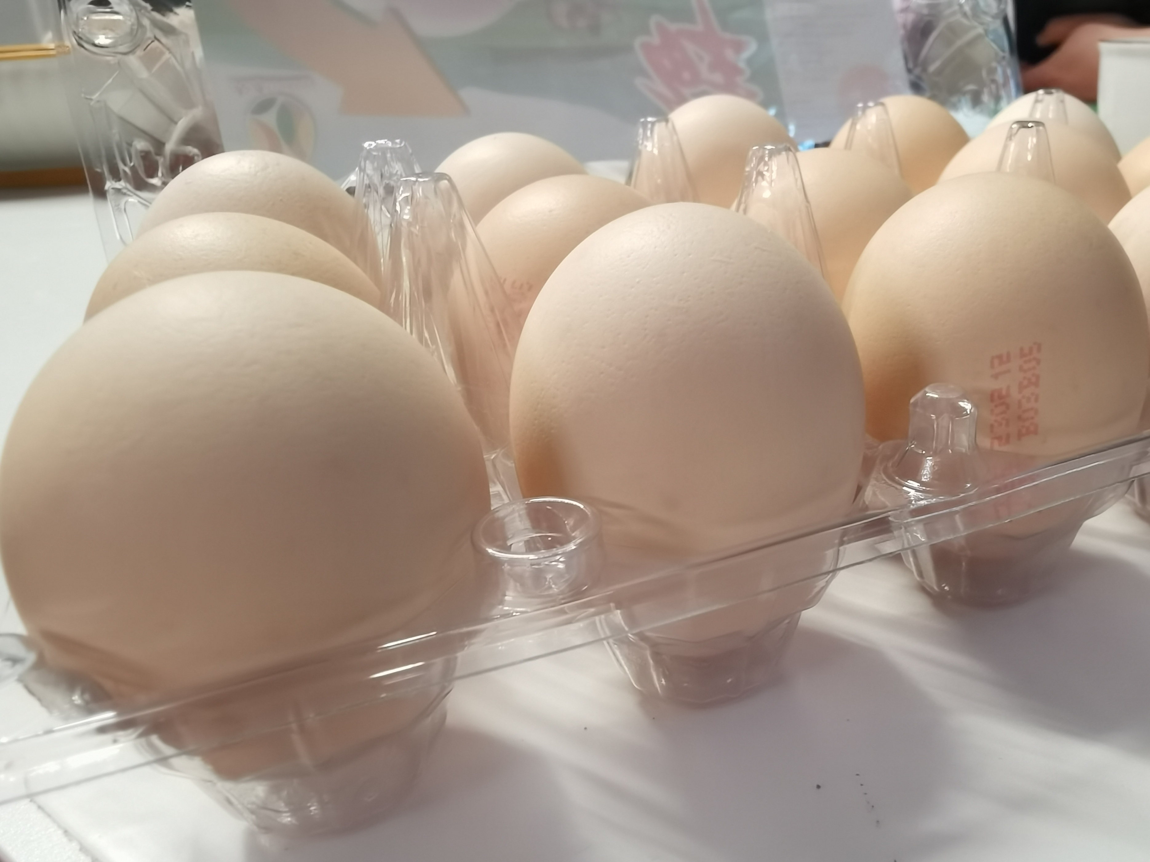 鸡蛋买回直接放冰箱就废了,鸡蛋放冰箱储存的最好方法