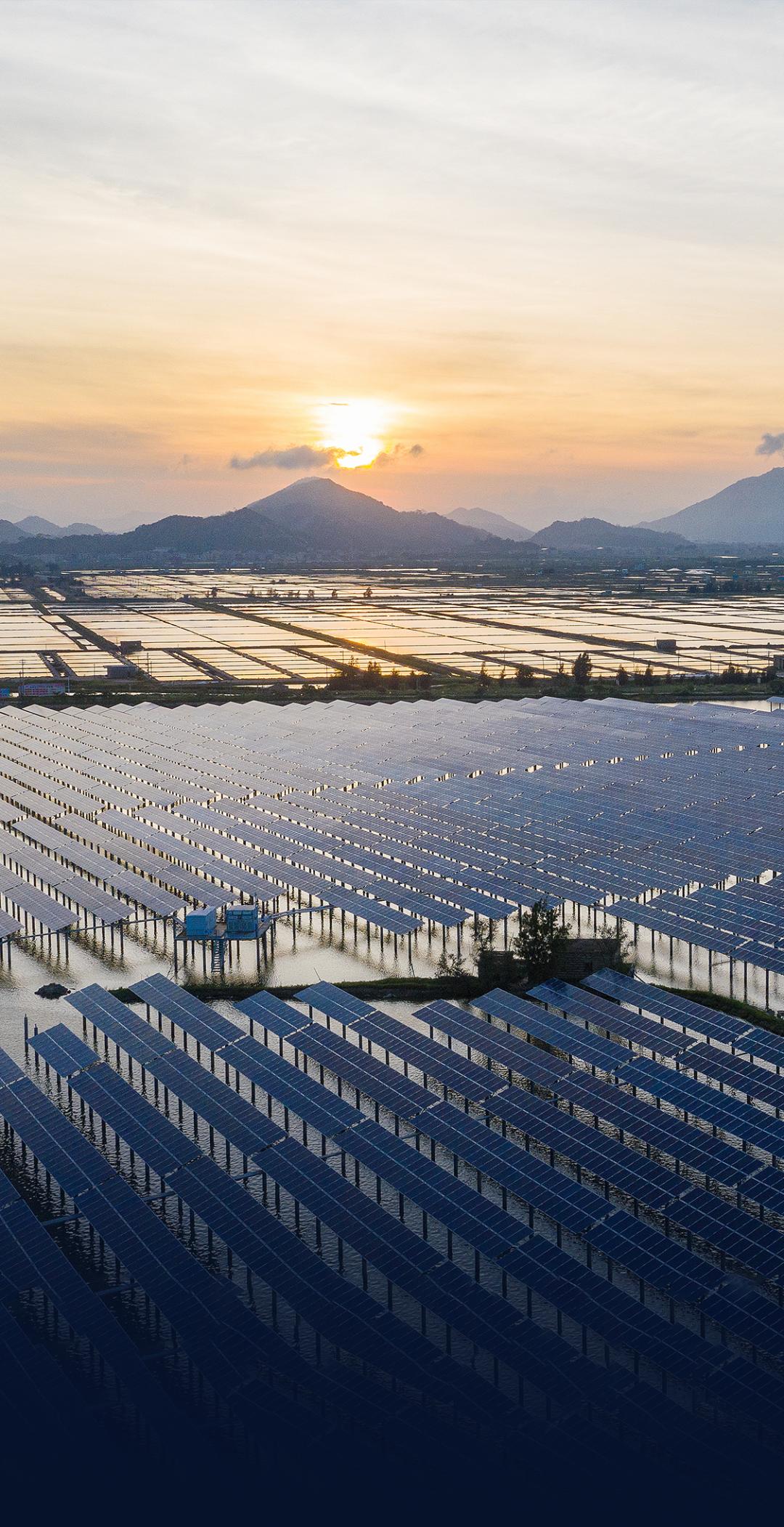 特变电工董事长财富,营收总收入55亿净利润五亿