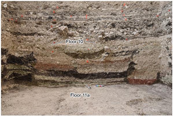 阿古达·费尼克斯的纪念建筑与玛雅文明兴起的相关研究（下）
