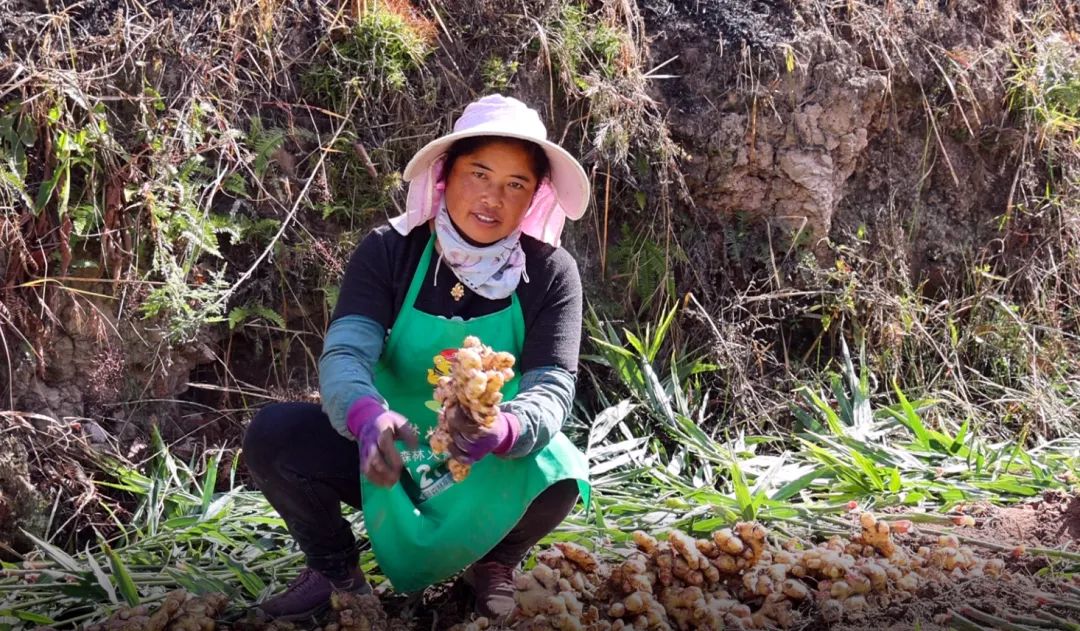 姜来可期什么意思,科技赋能姜来可期
