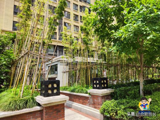 滨湖万科蓝山公区,滨湖万科蓝山容积率