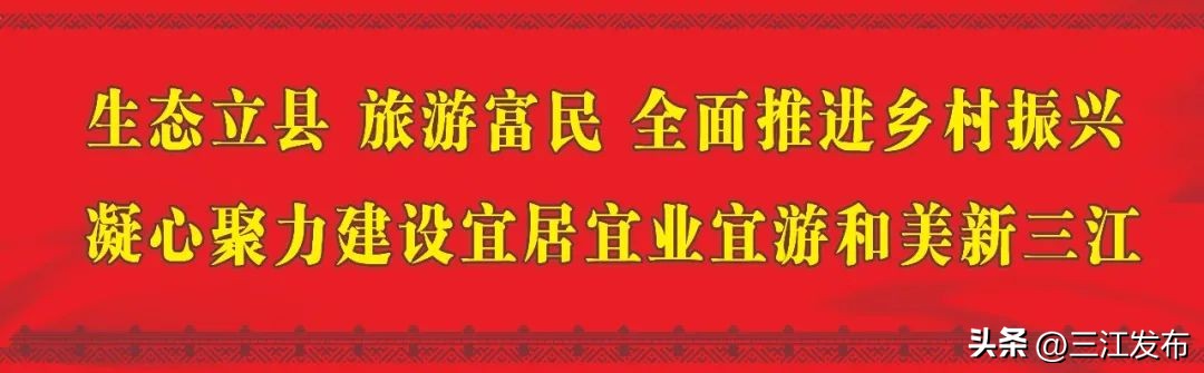 乡镇开展电商培训助力脱贫攻坚,聚焦巩固脱贫提升乡村振兴