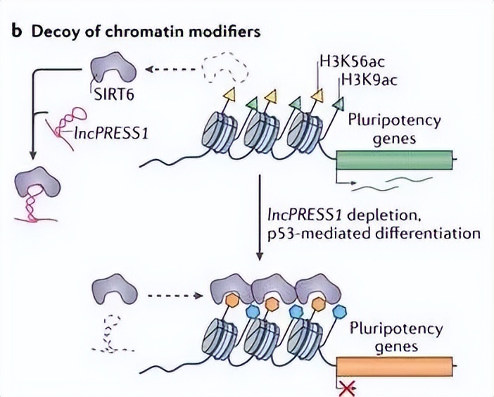 nature最新论文,nature论文最新发现