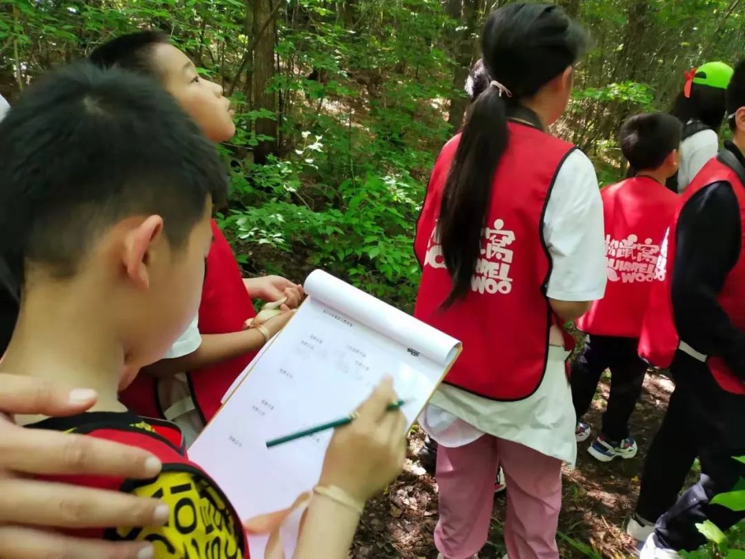 长白山滑雪夏令营,夏令营走进长白山
