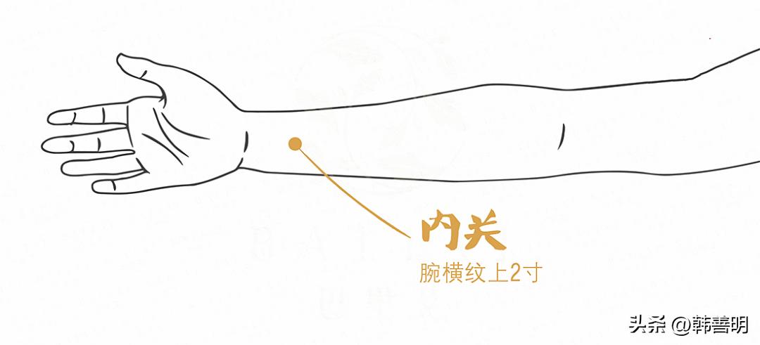 韩善明灸法医案精选（62）——妊娠恶阻案