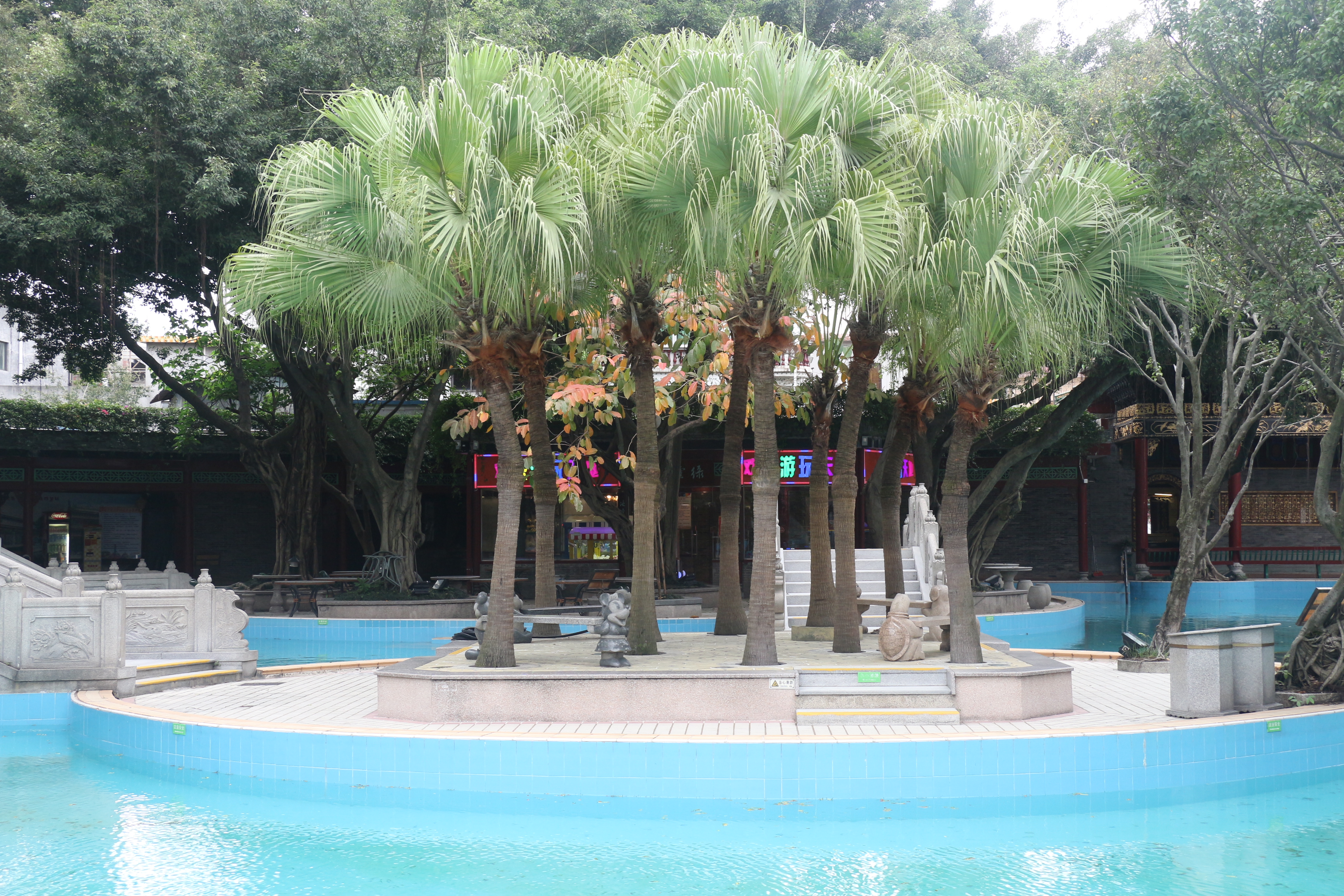 岭南文化之旅照片,岭南文化之旅在哪里