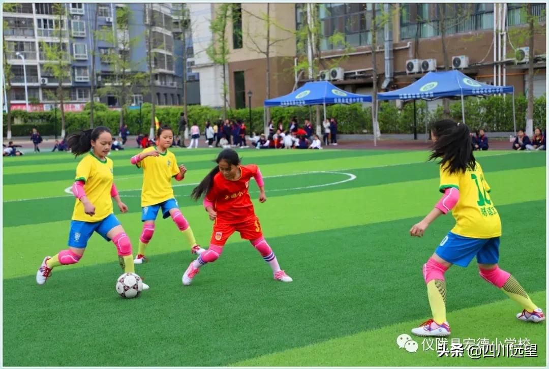 仪陇县新政小学足球联赛2023,仪陇县新政小学第九届足球比赛